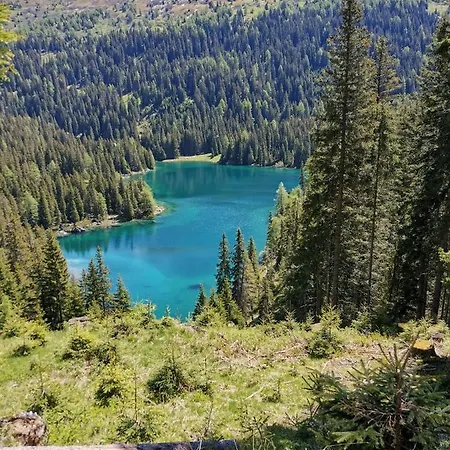 Eppacher Apartman Trins