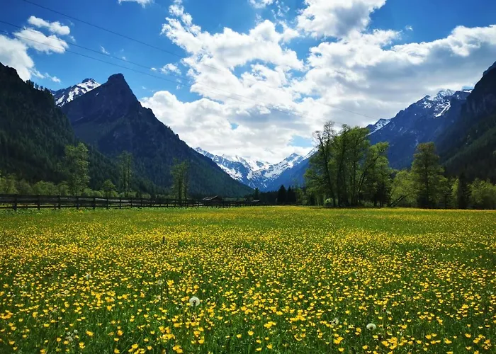 公寓 埃帕赫公寓 *