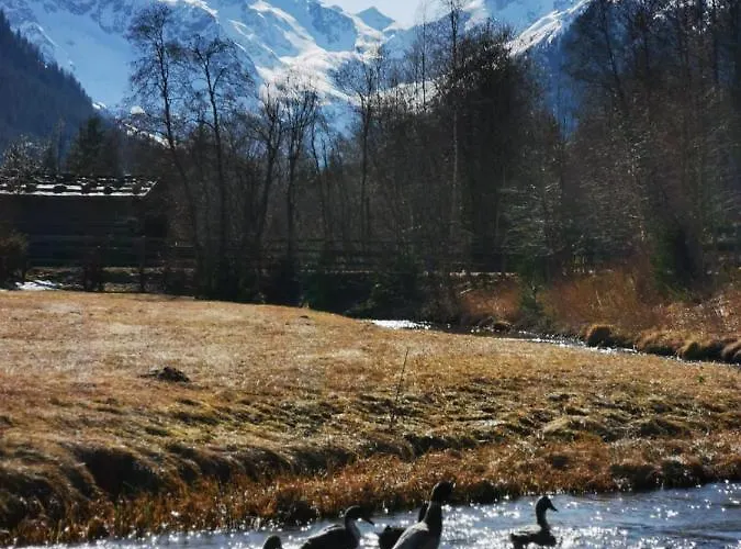 埃帕赫公寓 * 堤林斯