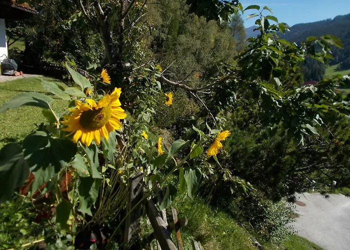 埃帕赫公寓 公寓