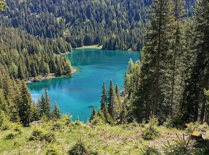 Eppacher Apartman Trins